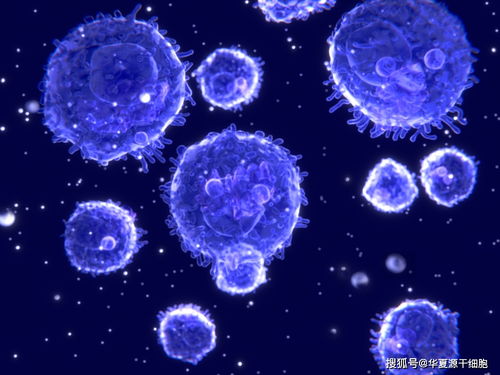 2020年干细胞治疗进展 肥胖症、糖尿病与政策变革的前沿解读